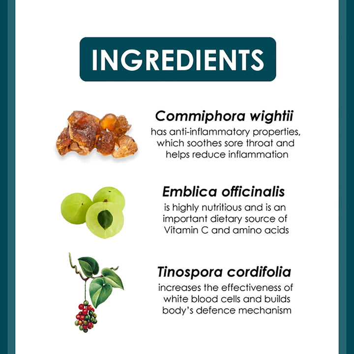 Septilin Tablet - Immunity Booster