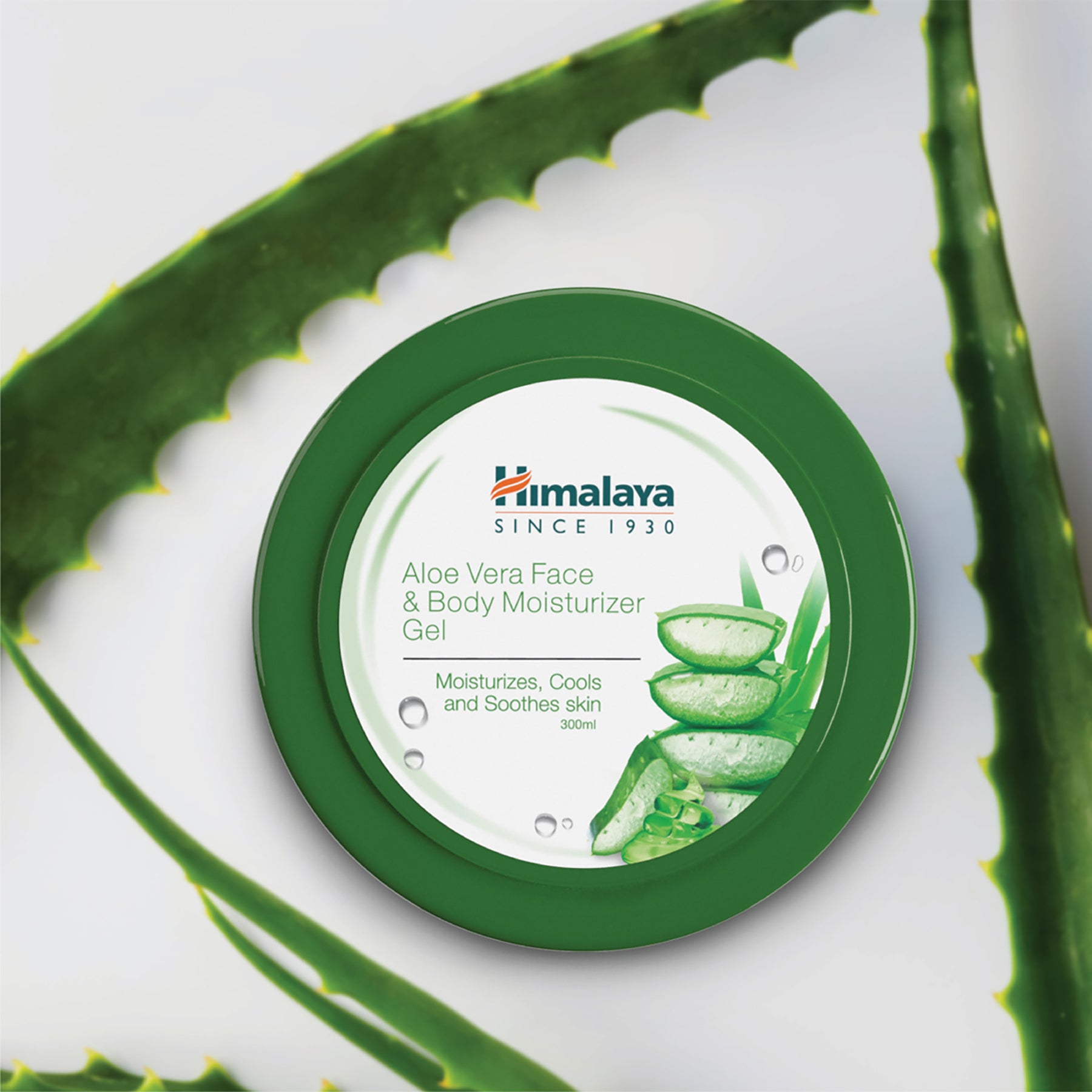 Aloe Vera Face And Body Moisturizer Gel Himalaya Wellness (Singapore)