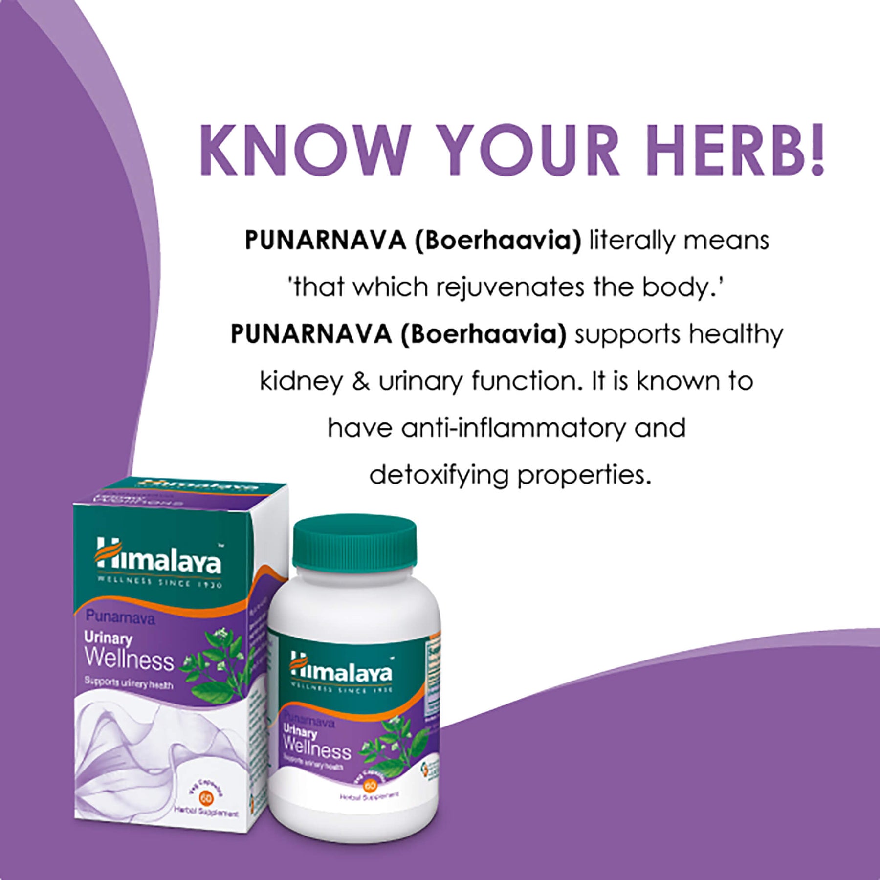 Himalaya Punarnava Urinary Wellness - Supports Urinary Health ...